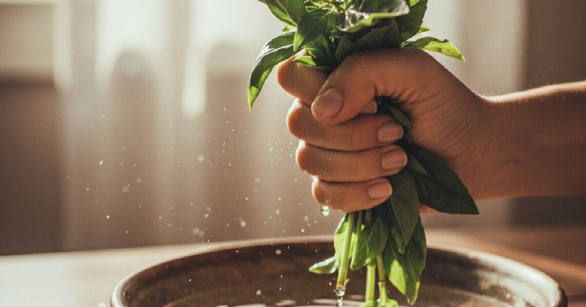 Ilustração do artigo