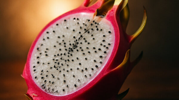 Pitaya Significado Espiritual: Poderes Ocultos e Como Usar